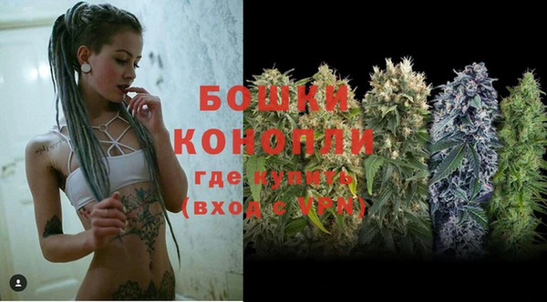 амф Козельск