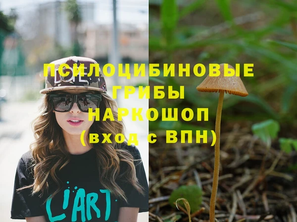 амф Козельск