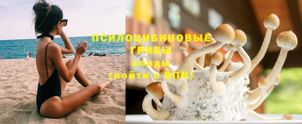 mdpv Кинешма