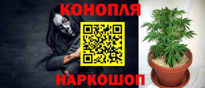 гашик Можайск