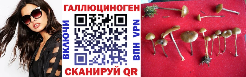 Галлюциногенные грибы Magic Shrooms Феодосия